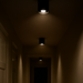 Ceiling Lamp – Modern Black Round Design with GU10 Socket - Samanta Factory