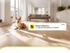 Indoor Dome Security Camera – 360° View & 3MP Color Night Vision SF