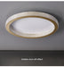 Luxury LED Ceiling Light – Modern Surface-Mounted Fixture for Living Spaces - Samanta Factory