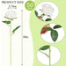 Artificial Velvet Roses – 50PCS Long-Stem Flower Bouquet SF
