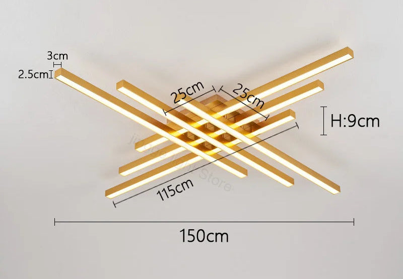 Ceiling Light – Modern Nordic Iron & Acrylic Design with LED Illumination - Samanta Factory
