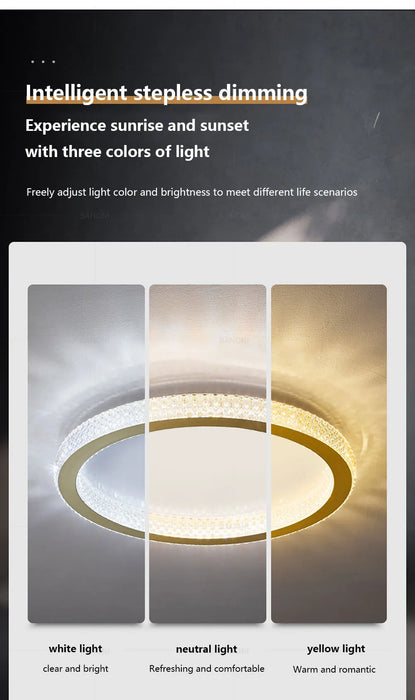Luxury LED Ceiling Light – Modern Surface-Mounted Fixture for Living Spaces - Samanta Factory