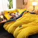 Double-sided velvet duvet cover set with applique embroidery and pillowcases, soft and warm for winter beds.