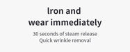 Handheld Steam Brush – 1800W Powerful Garment Steamer Samanta Factory