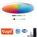 Smart RGB Ceiling Light – WiFi APP Control with Dimmable LED - Samanta Factory
