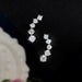 Premium 925 Sterling Silver Earrings With Excellent-Cut Moissanite Stones SF