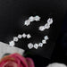 Premium 925 Sterling Silver Earrings With Excellent-Cut Moissanite Stones SF