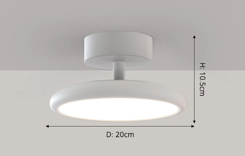Modern Surface-Mounted Ceiling Light – Remote-Controlled LED Fixture for Bedrooms and Living - Samanta Factory