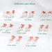 Premium Moissanite Stud Earrings – Brilliant D Color VVS1 Stones SF