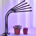 LED Grow Light – Full Spectrum 3-Color USB Lamp for Healthy Plant Growth - Samanta Factory
