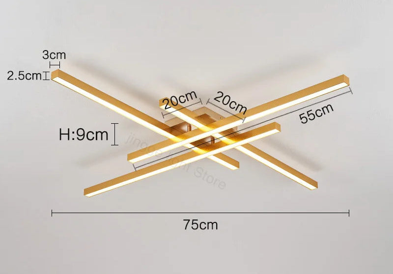 Ceiling Light – Modern Nordic Iron & Acrylic Design with LED Illumination - Samanta Factory