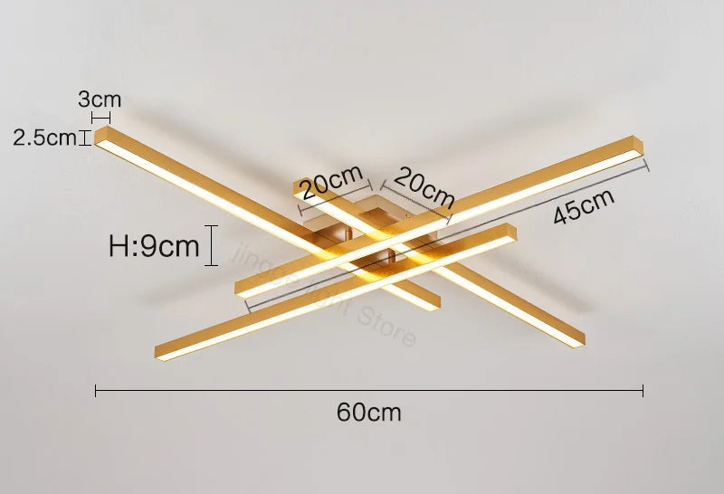 Ceiling Light – Modern Nordic Iron & Acrylic Design with LED Illumination - Samanta Factory
