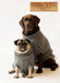 cef13ede-8629-4468-955c-3d840b32ce88.png
