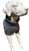V0671015598_12.png