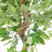 Artificial Ficus Tree – Twisted Trunk Japanese Fruticosa Style - Samanta Factory