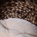 Wicker Cat House – Elevated Bed with Cozy Interior - Samanta Factory