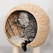 100cm Cat Tree Tower Kitten Climbing Tower W/ Scratching Post Condo  Pawhut - Samanta Factory