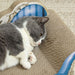PawHut 2 in1 Cat Scratcher with Catnip, Cardboard Lounge Bed, Blue - Samanta Factory