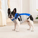 Waterproof Dog Jacket with Harness – Winter Warm Pet Coat for Small & Large Dogs, Labrador, Chihuahua, French Bulldog - Samanta Factory
