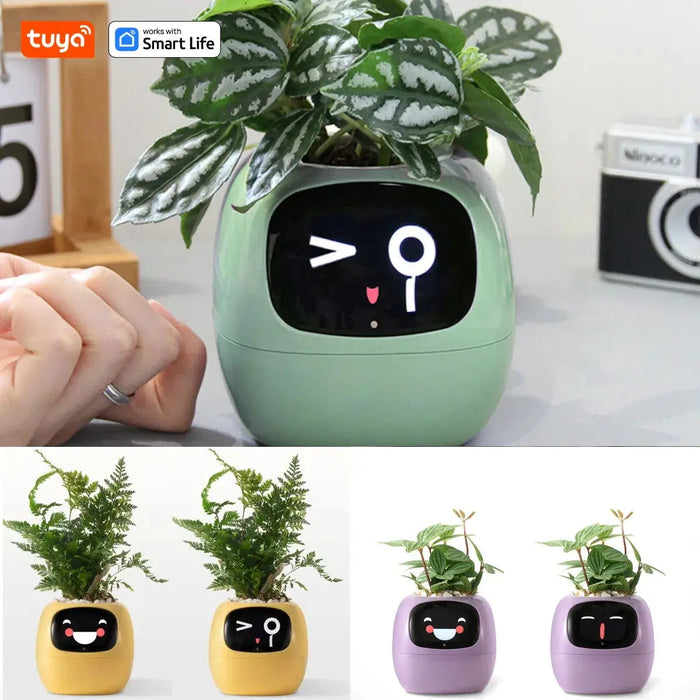  Smart Planter - AI-powered interactive plant pot with self-watering system and expressive reactions.