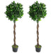 Realistic Artificial Laurel Leaf Bay Tree Topiary in Decorative Planter

