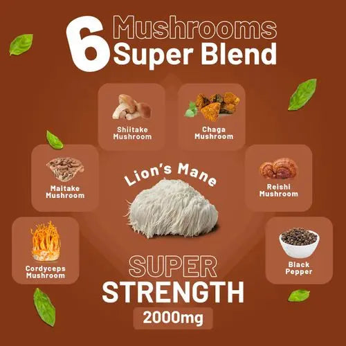 Vegan mushroom complex supplement with 6-mushroom blend for immune and brain support – 120 tablets

